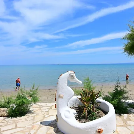Guest house Alisaxni