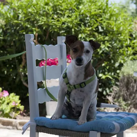 Alisaxni 게스트하우스